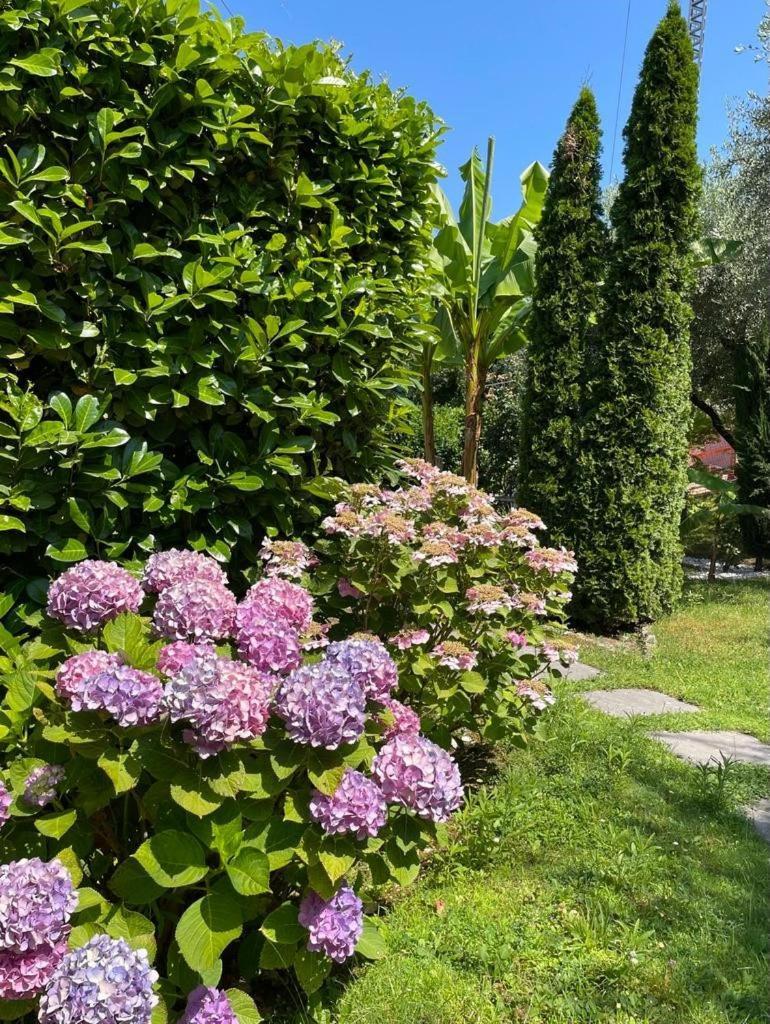 Appartamento La Perla Torri del Benaco Kültér fotó